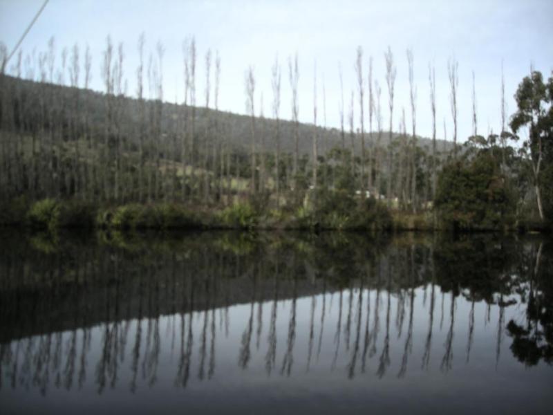 Port Huon Cottages Extérieur photo